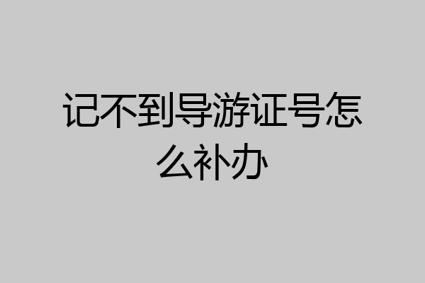 记不到导游证号怎么补办