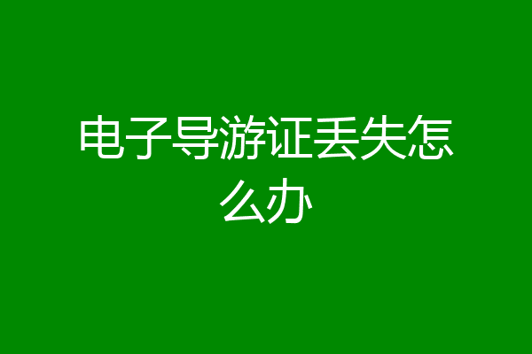 电子导游证丢失怎么办