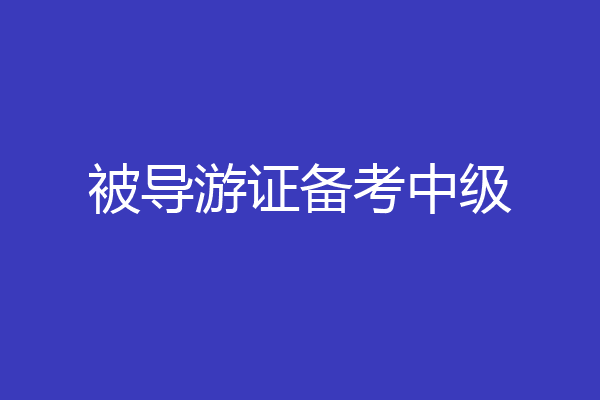 被导游证备考中级