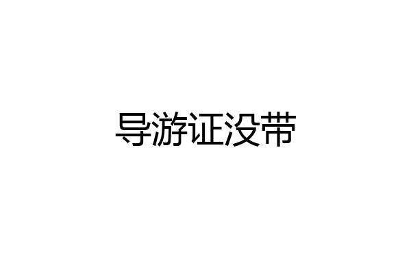 导游证没带