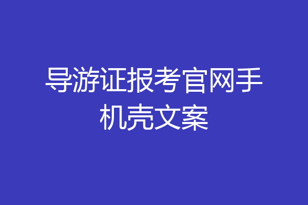 导游证报考官网手机壳文案