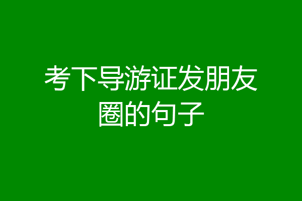 考下导游证发朋友圈的句子