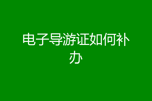 电子导游证如何补办