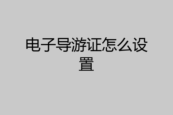 电子导游证怎么设置