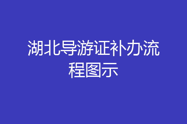 湖北导游证补办流程图示