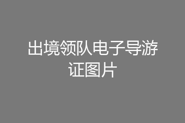 出境领队电子导游证图片