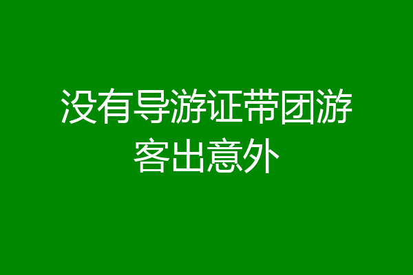 没有导游证带团游客出意外