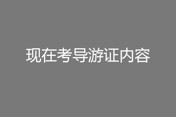 现在考导游证内容