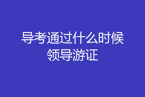 导考通过什么时候领导游证