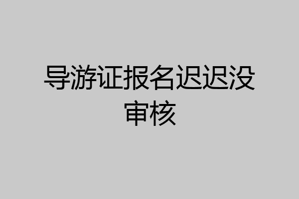 导游证报名迟迟没审核