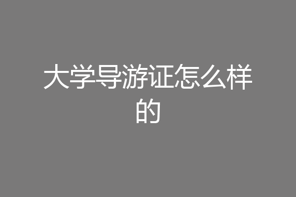 大学导游证怎么样的