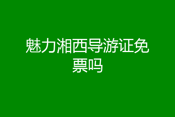 魅力湘西导游证免票吗