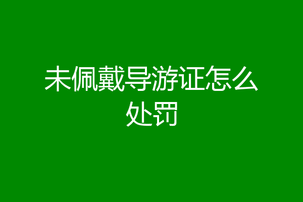 未佩戴导游证怎么处罚