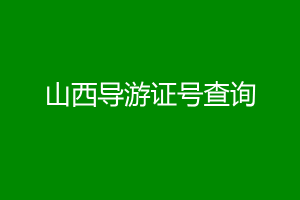山西导游证号查询