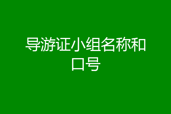 导游证小组名称和口号