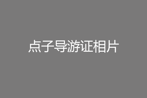 点子导游证相片