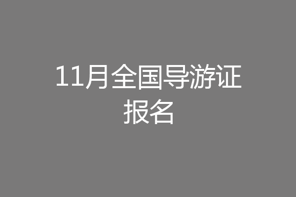 11月全国导游证报名