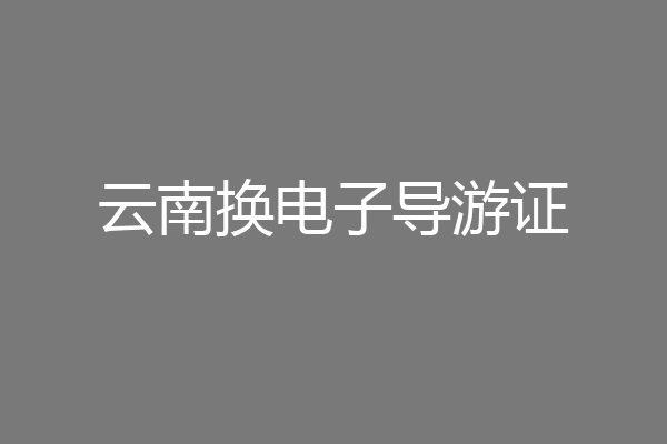 云南换电子导游证