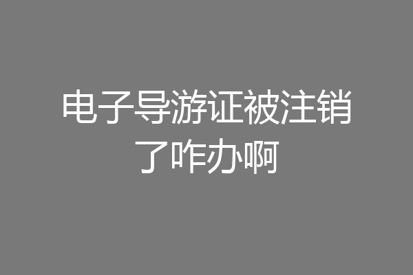 电子导游证被注销了咋办啊