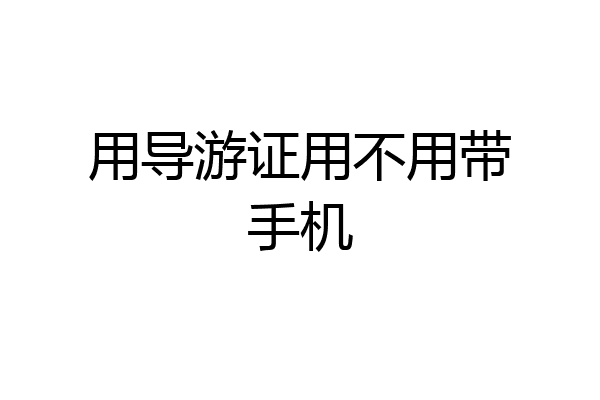 用导游证用不用带手机