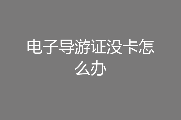 电子导游证没卡怎么办