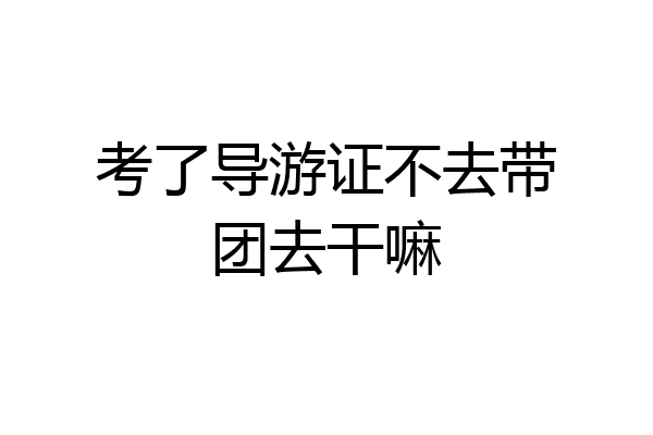 考了导游证不去带团去干嘛