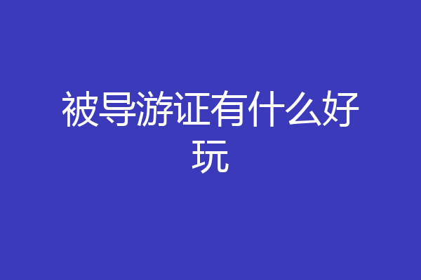 被导游证有什么好玩