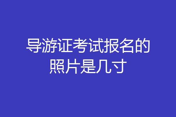 导游证考试报名的照片是几寸