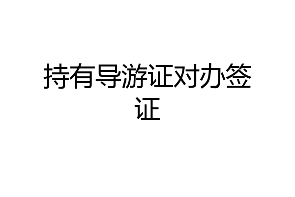 持有导游证对办签证