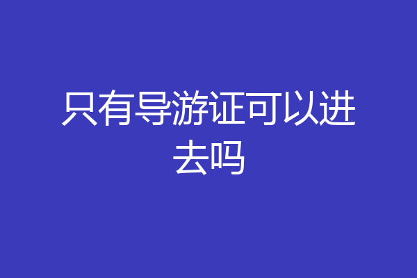 只有导游证可以进去吗