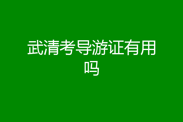 武清考导游证有用吗