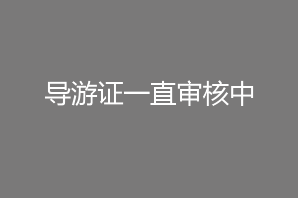 导游证一直审核中