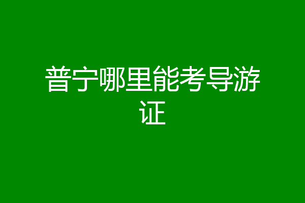 普宁哪里能考导游证