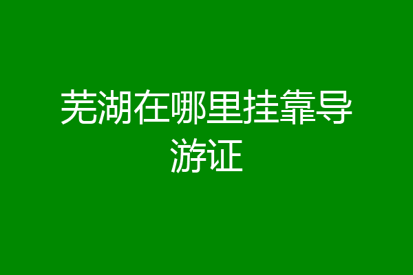 芜湖在哪里挂靠导游证