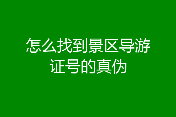 怎么找到景区导游证号的真伪