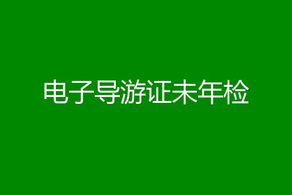 电子导游证未年检