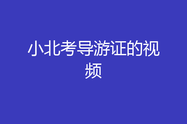 小北考导游证的视频