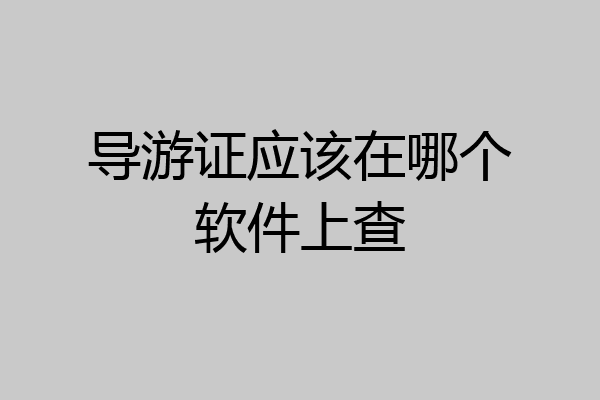 导游证应该在哪个软件上查