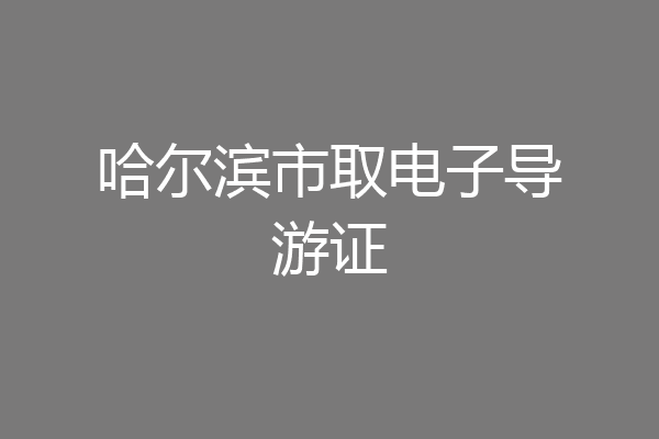 哈尔滨市取电子导游证