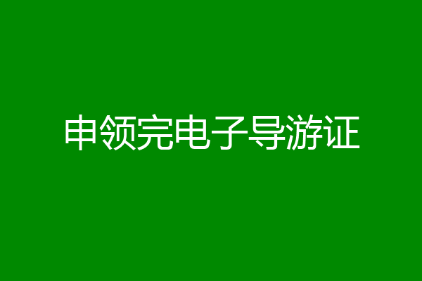 申领完电子导游证