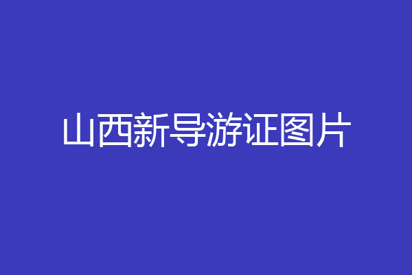 山西新导游证图片