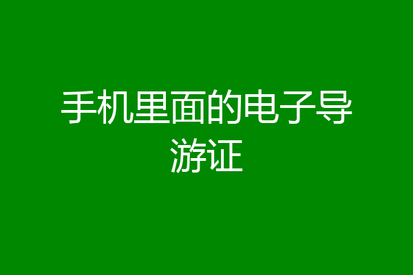 手机里面的电子导游证