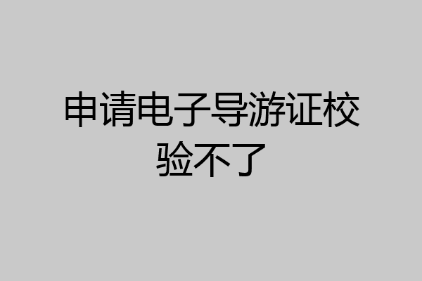 申请电子导游证校验不了