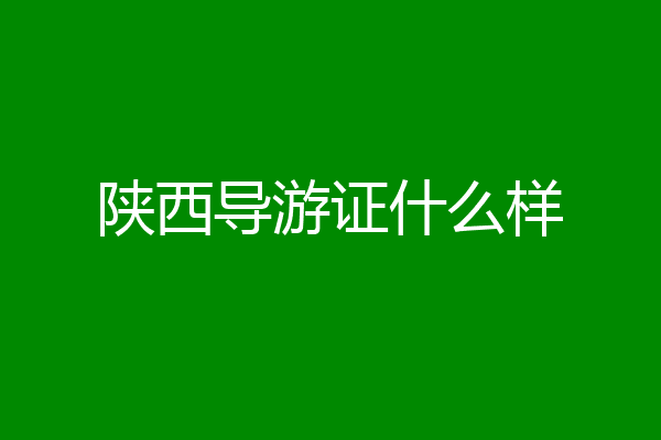 陕西导游证什么样