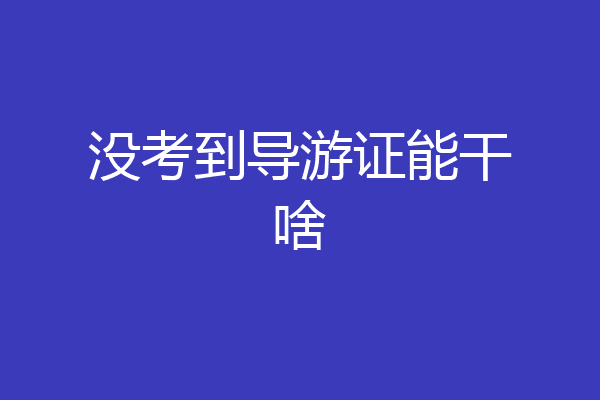 没考到导游证能干啥