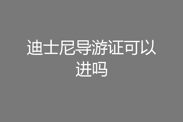 迪士尼导游证可以进吗