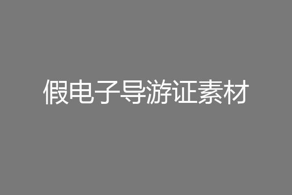 假电子导游证素材