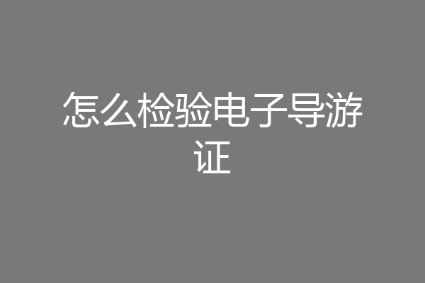 怎么检验电子导游证
