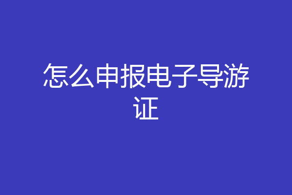 怎么申报电子导游证