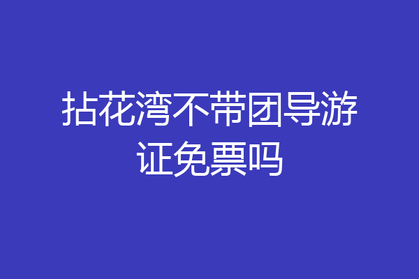 拈花湾不带团导游证免票吗